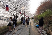 안산 | 서울연구데이터서비스