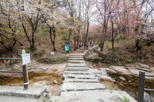사진으로 본 서울 | 서울연구데이터서비스