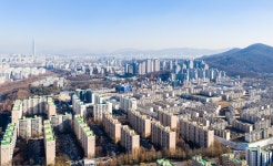 개포로 녹지연결 | 서울연구데이터서비스