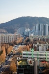 구룡초교사거리 | 서울연구데이터서비스