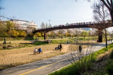 양재천 | 서울연구데이터서비스