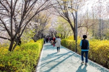 양재천 | 서울연구데이터서비스