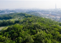 강동그린웨이 | 서울연구데이터서비스