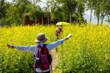 일자산허브천문공원 | 서울연구데이터서비스
