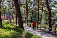 솔밭근린공원 | 서울연구데이터서비스