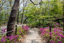 오동근린공원 | 서울연구데이터서비스