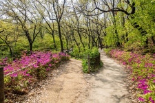 오동근린공원 | 서울연구데이터서비스