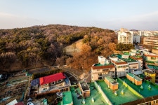개화산공원 | 서울연구데이터서비스