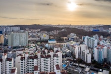 봉제산 | 서울연구데이터서비스