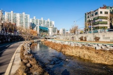 도림천(406-5미) | 서울연구데이터서비스