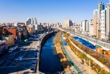 도림천(1472-5) | 서울연구데이터서비스