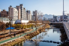 도림천(1472-5) | 서울연구데이터서비스