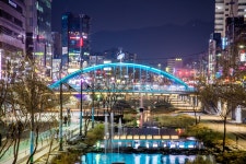 도림천(1642-7순대) | 서울연구데이터서비스