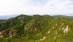 용마산 | 서울연구데이터서비스