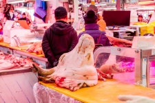 독산동 우시장 | 서울연구데이터서비스