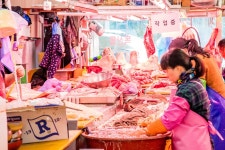 독산동 우시장 | 서울연구데이터서비스