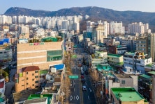 은행나무사거리 | 서울연구데이터서비스
