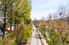 경춘선숲길 | 서울연구데이터서비스