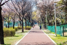 마들근린공원 | 서울연구데이터서비스