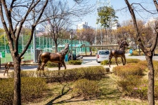 마들근린공원 | 서울연구데이터서비스