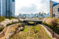 수락리버시티공원 | 서울연구데이터서비스