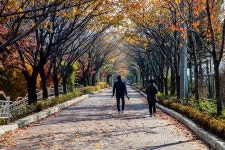 중랑천체육공원 | 서울연구데이터서비스