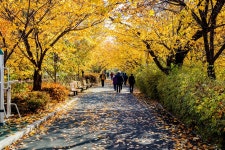 중랑천체육공원 | 서울연구데이터서비스