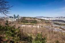 매봉산자락길 | 서울연구데이터서비스