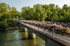 서래섬 | 서울연구데이터서비스