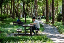 양재천 | 서울연구데이터서비스