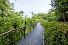 달맞이봉 공원 | 서울연구데이터서비스
