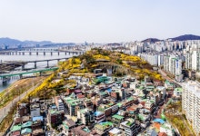 응봉산 | 서울연구데이터서비스