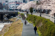 성북천 | 서울연구데이터서비스