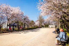 오동근린공원 | 서울연구데이터서비스