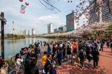 석촌호수 | 서울연구데이터서비스
