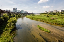 탄천 | 서울연구데이터서비스