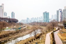 도림천 | 서울연구데이터서비스