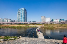 안양천 | 서울연구데이터서비스