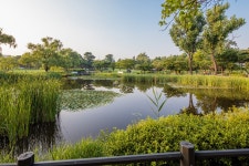 이촌한강공원 | 서울연구데이터서비스