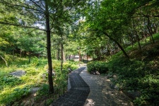 쌈지공원 | 서울연구데이터서비스
