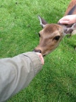 cute, nature 그리고 indie We Heart It의 이미지