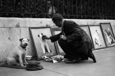 dog, artist 그리고 art study We Heart It의 이미지