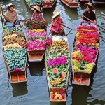 Paradise  | thailand 그리고 fruits pink green lol