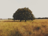 We Heart It의 이미지