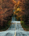 The Road