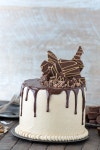 This peanut butter chocolate cake recipe is AMAZING! Chocolate cake paired with peanut butter buttercream and dripping with... 