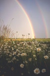 We Heart It의 이미지