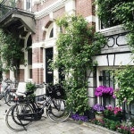 beautiful, flowers 그리고 green We Heart It의 이미지