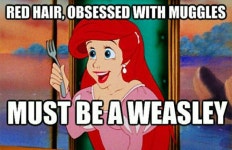 disney, harry potter 그리고 meme We Heart It의 이미지