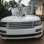 hair, clothes 그리고 color We Heart It의 이미지